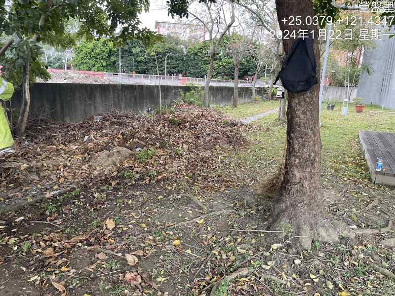 天主教總修道院清理落葉及環境