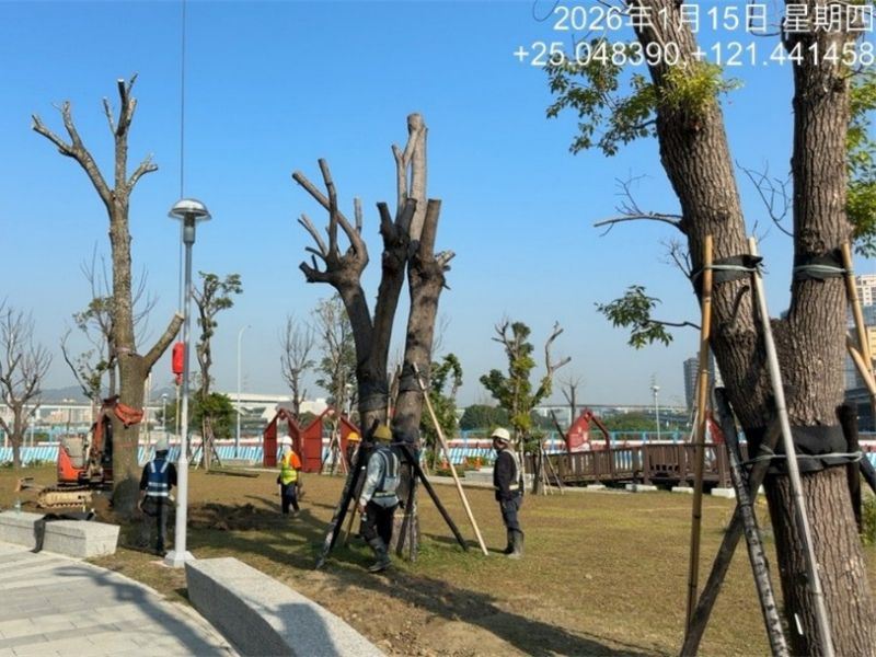 1150115工程現況 1150115工程現況